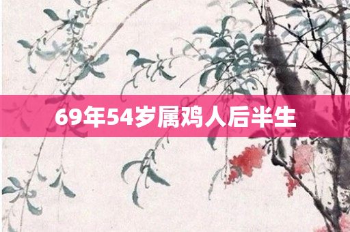 69年54岁属鸡人后半生