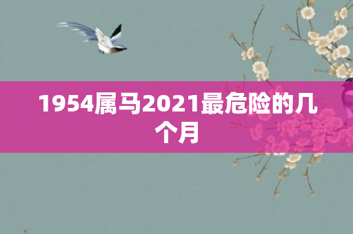 1954属马2021最危险的几个月