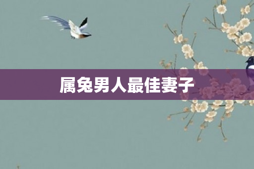 属兔男人更佳妻子