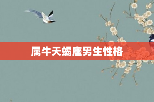 属牛天蝎座男生性格