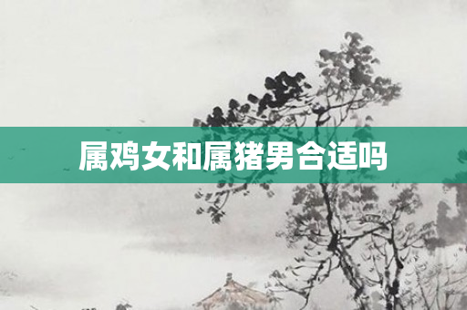 属鸡女和属猪男合适吗