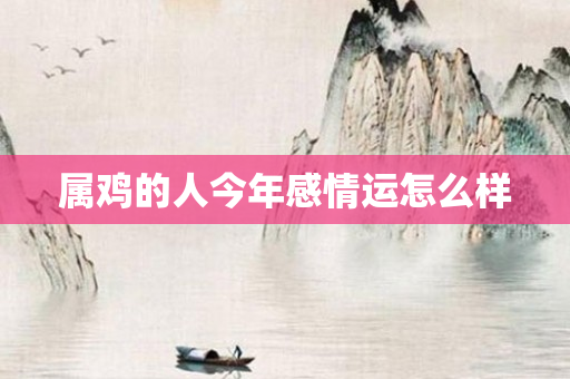 属鸡的人今年感情运怎么样