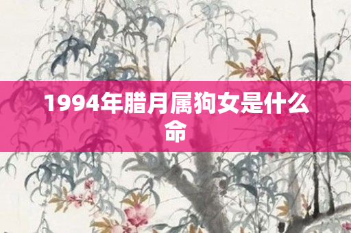 1994年腊月属狗女是什么命
