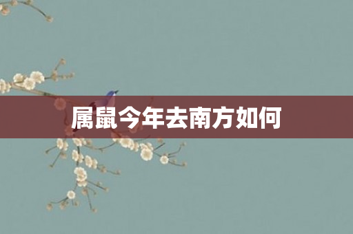 属鼠今年去南方如何