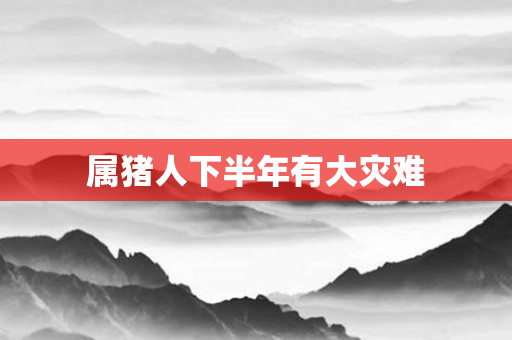 属猪人下半年有大灾难