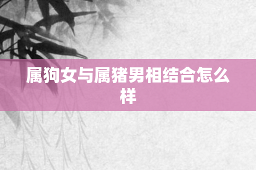 属狗女与属猪男相结合怎么样