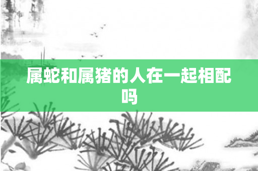 属蛇和属猪的人在一起相配吗