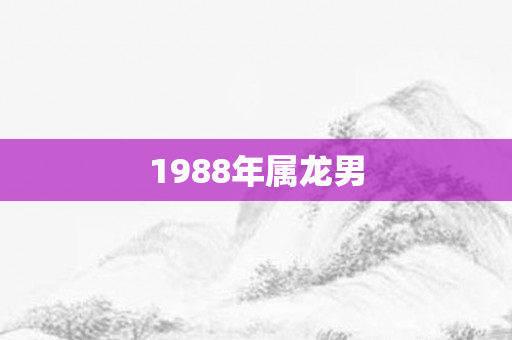 1988年属龙男