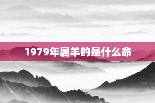 1979年属羊的是什么命