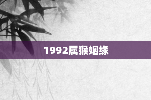 1992属猴姻缘