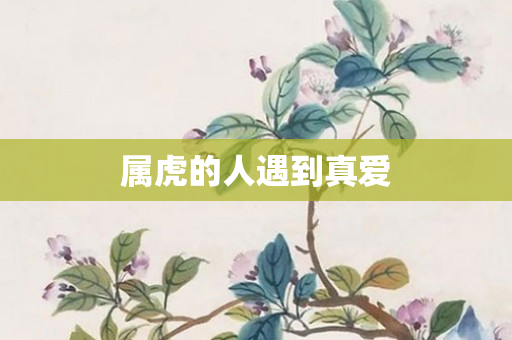属虎的人遇到真爱