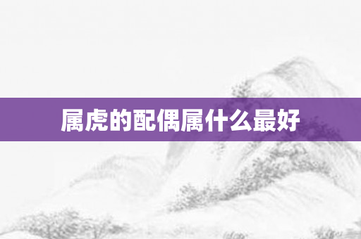属虎的配偶属什么更好