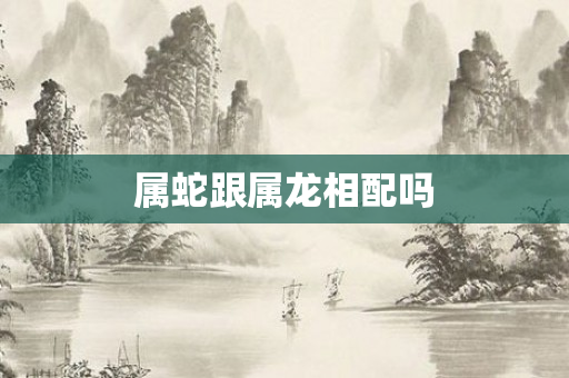 属蛇跟属龙相配吗