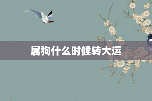 属狗什么时候转大运