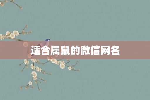 适合属鼠的微信网名
