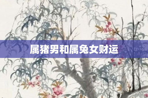 属猪男和属兔女财运