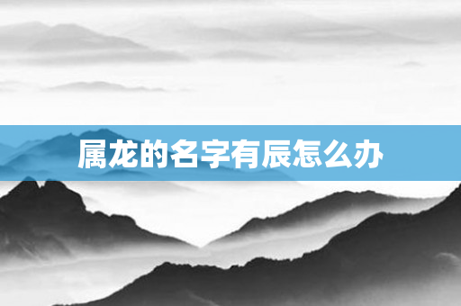 属龙的名字有辰怎么办