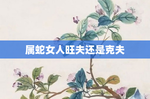 属蛇女人旺夫还是克夫