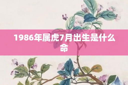 1986年属虎7月出生是什么命