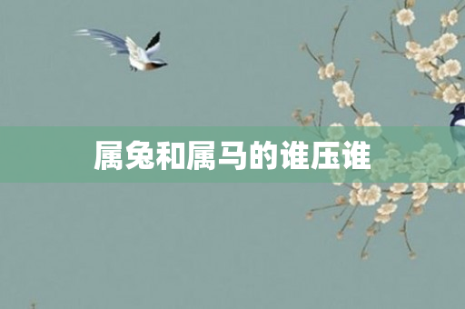 属兔和属马的谁压谁