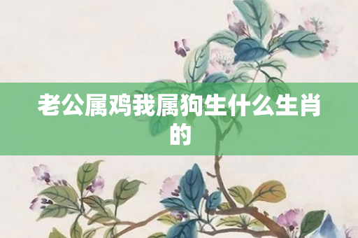 老公属鸡我属狗生什么生肖的