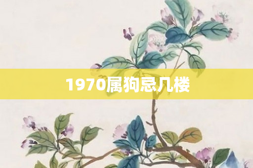 1970属狗忌几楼