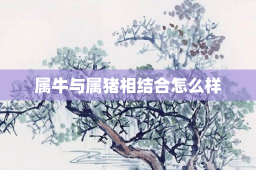 属牛与属猪相结合怎么样