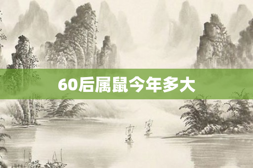 60后属鼠今年多大