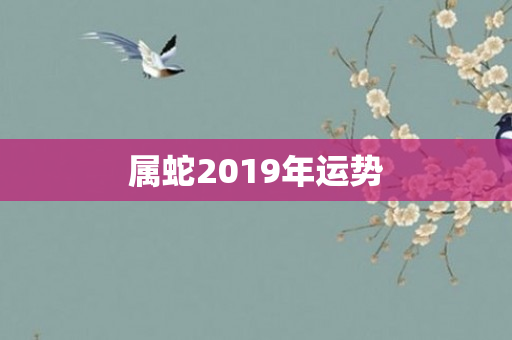 属蛇2019年运势