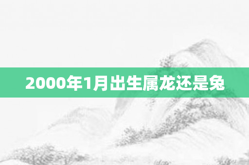 2000年1月出生属龙还是兔
