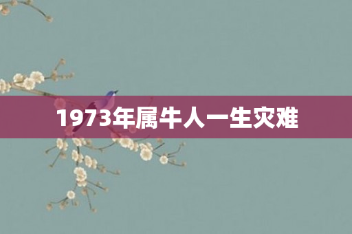 1973年属牛人一生灾难