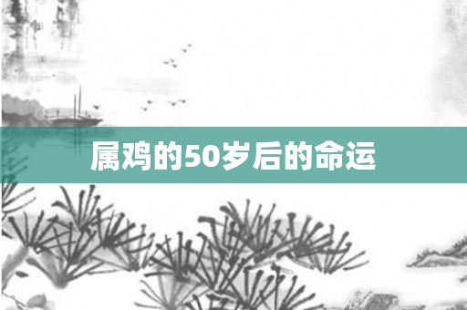 属鸡的50岁后的命运
