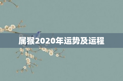 属猴2020年运势及运程