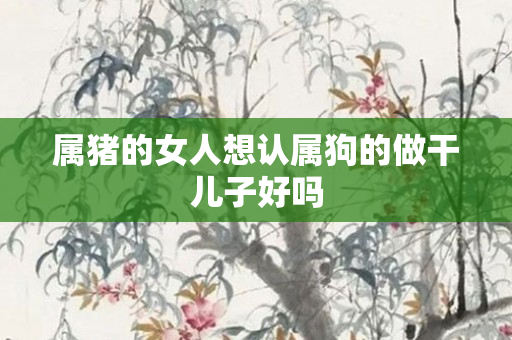 属猪的女人想认属狗的做干儿子好吗