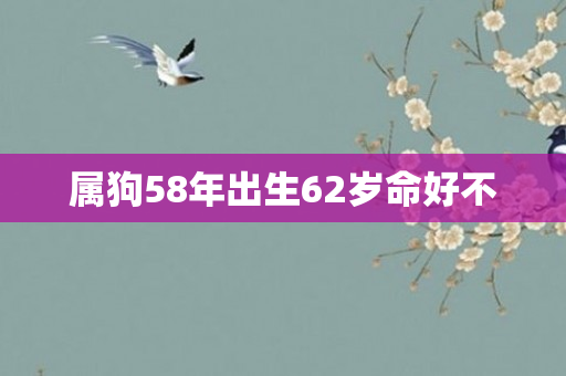 属狗58年出生62岁命好不
