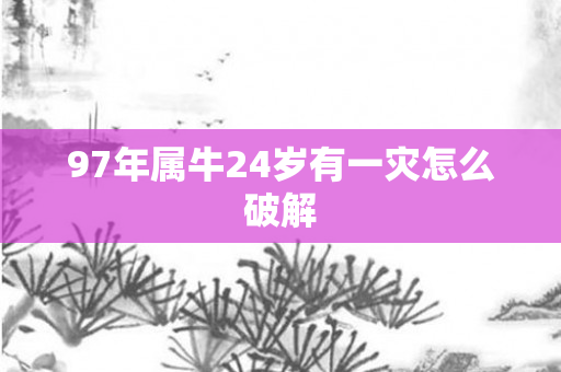 97年属牛24岁有一灾怎么破解