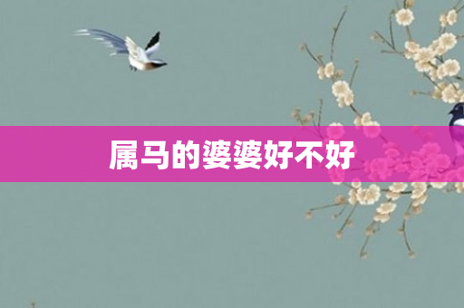 属马的婆婆好不好