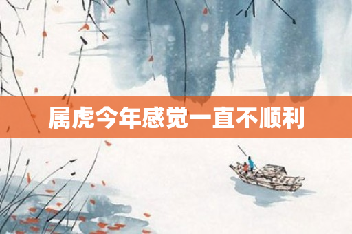 属虎今年感觉一直不顺利