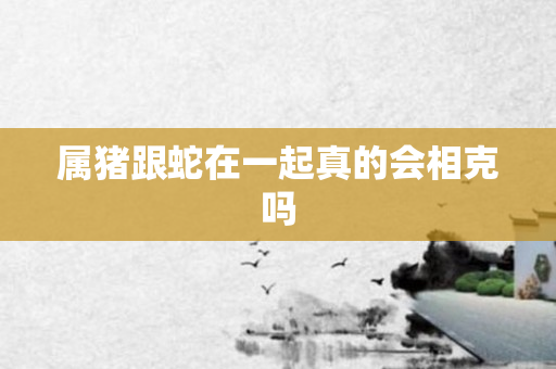 属猪跟蛇在一起真的会相克吗