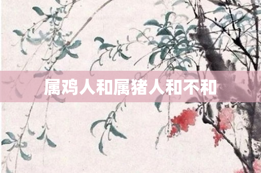 属鸡人和属猪人和不和