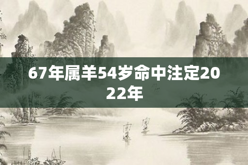 67年属羊54岁命中注定2022年