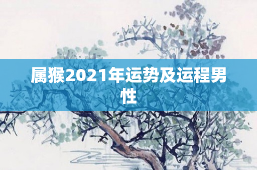 属猴2021年运势及运程男性
