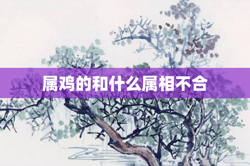 属鸡的和什么属相不合