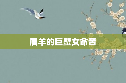 属羊的巨蟹女命苦