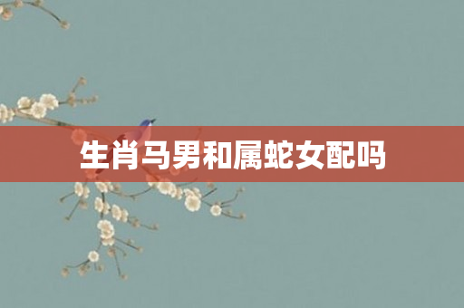 生肖马男和属蛇女配吗