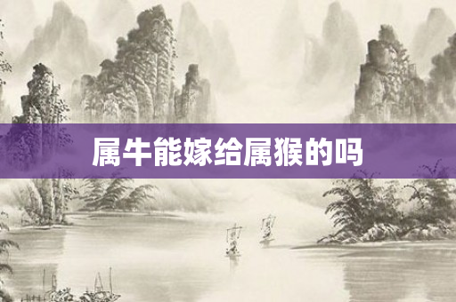属牛能嫁给属猴的吗