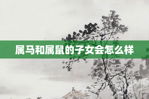 属马和属鼠的子女会怎么样