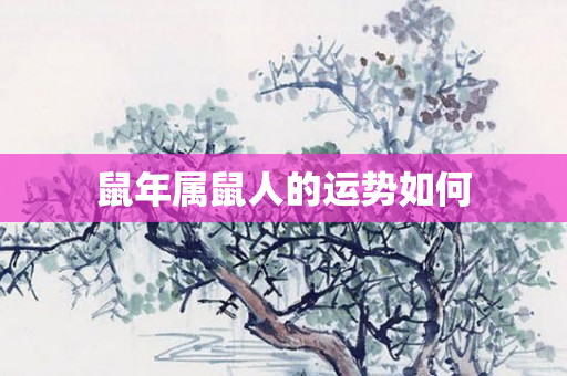 鼠年属鼠人的运势如何