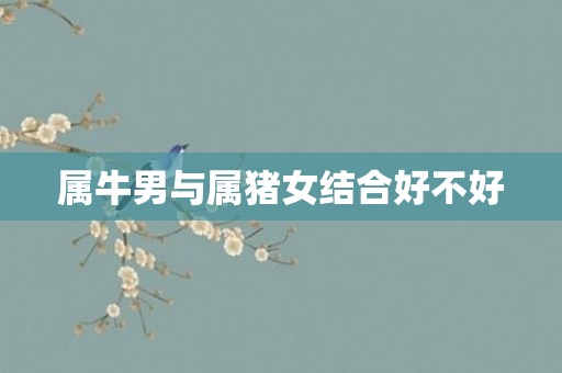 属牛男与属猪女结合好不好
