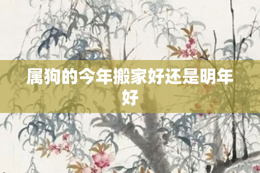 属狗的今年搬家好还是明年好